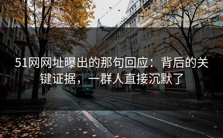 51网网址曝出的那句回应：背后的关键证据，一群人直接沉默了