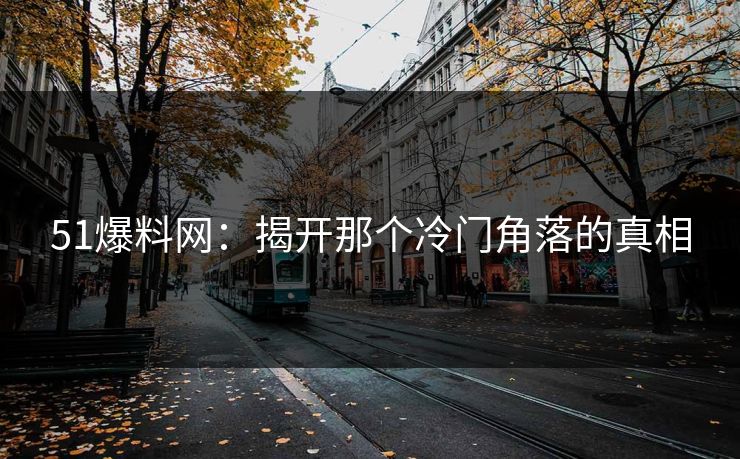 51爆料网：揭开那个冷门角落的真相