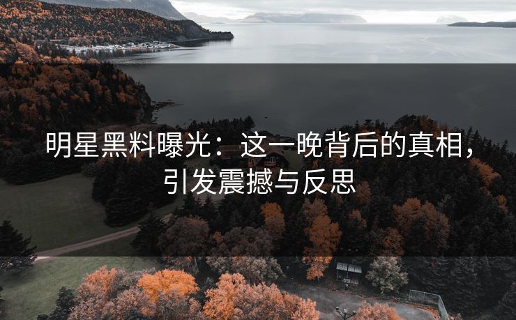 明星黑料曝光：这一晚背后的真相，引发震撼与反思