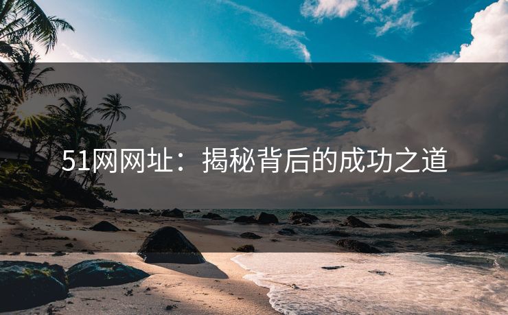 51网网址：揭秘背后的成功之道