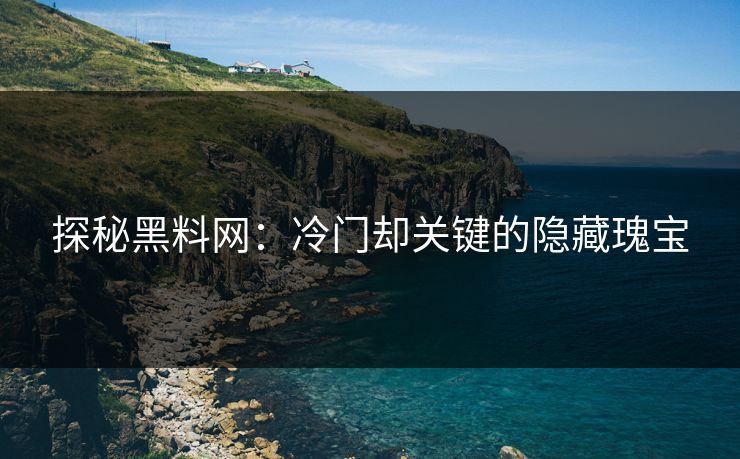 探秘黑料网：冷门却关键的隐藏瑰宝