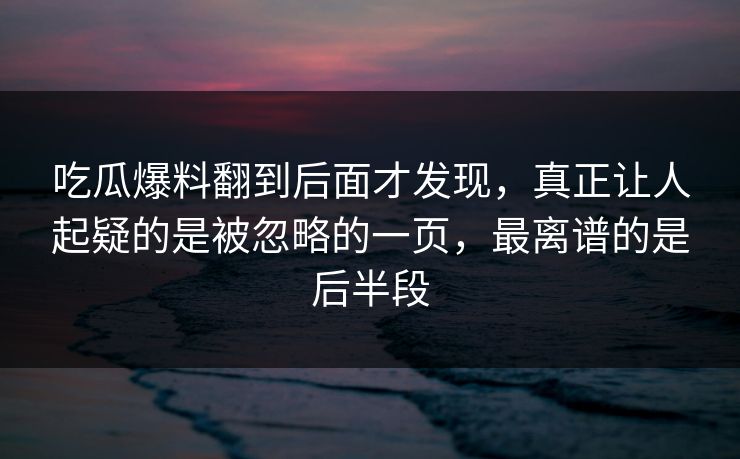 吃瓜爆料翻到后面才发现，真正让人起疑的是被忽略的一页，最离谱的是后半段