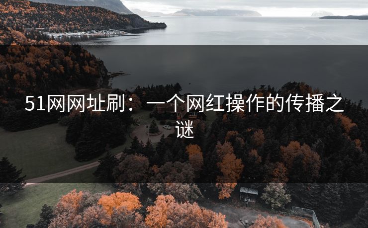 51网网址刷：一个网红操作的传播之谜