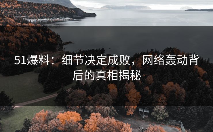 51爆料：细节决定成败，网络轰动背后的真相揭秘
